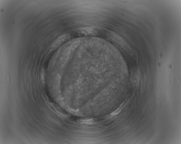 X0000084530132200703091638