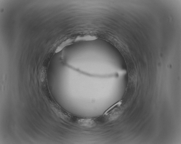 X0000084530133200703091638