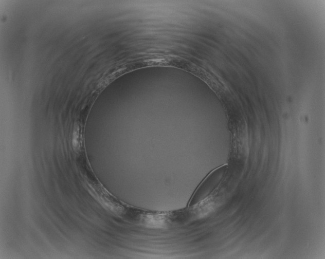 X0000084530134200703091638