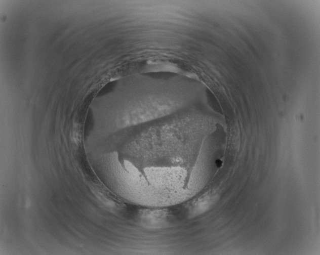 X0000084530135200703091638