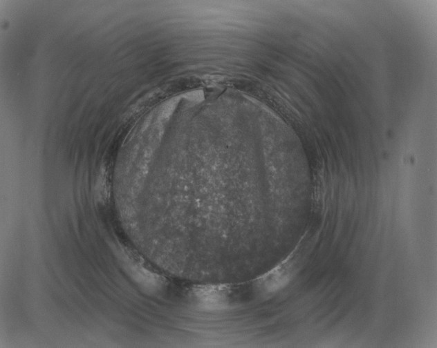 X0000084530136200703091638