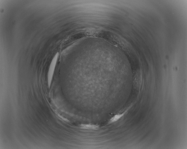 X0000084530137200703091638