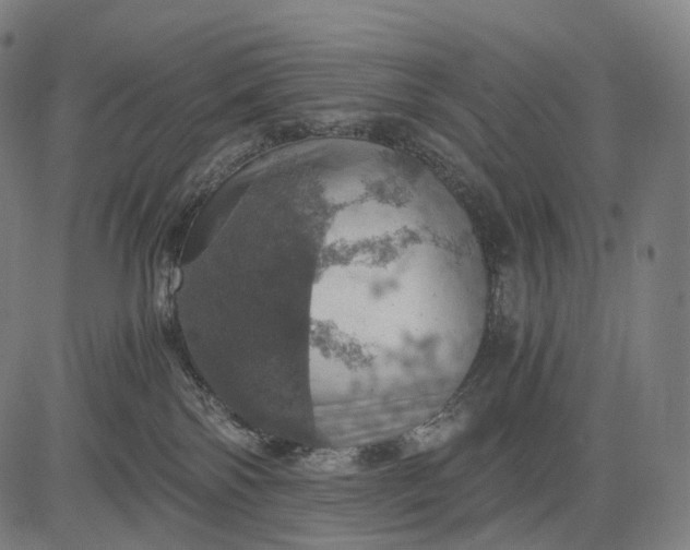 X0000084530138200703091638