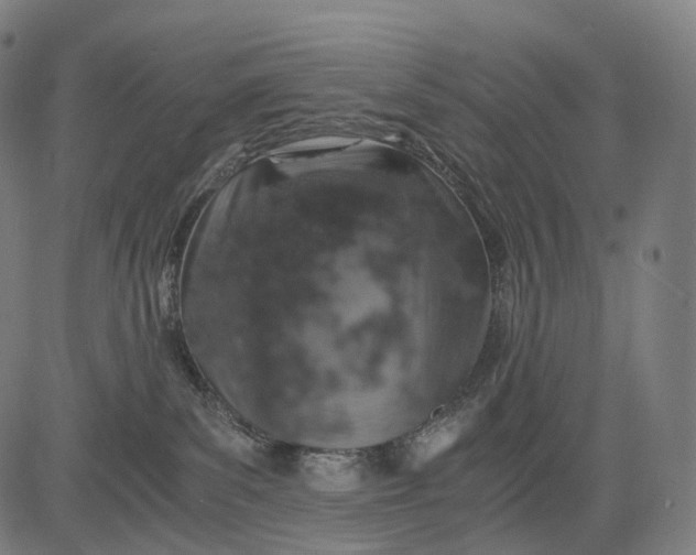 X0000084530139200703091638