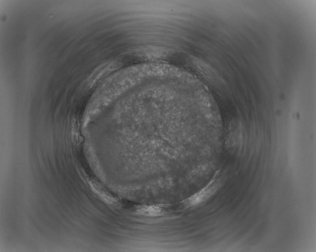 X0000084530140200703091638