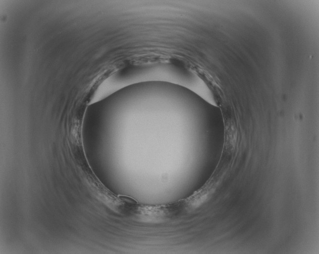 X0000084530141200703091638