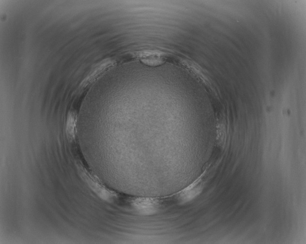 X0000084530142200703091637