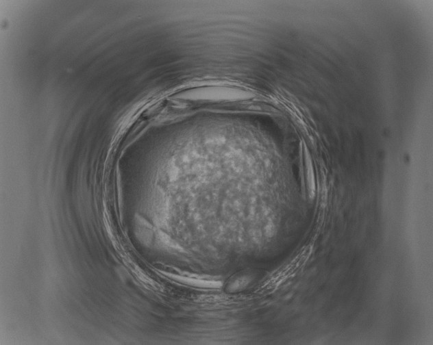 X0000084530145200703091637