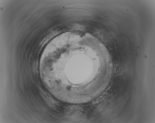 X0000084530146200703091637