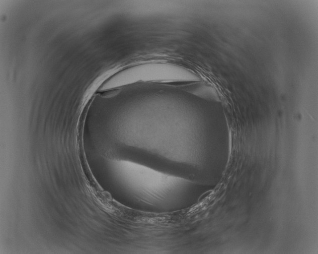 X0000084530147200703091637