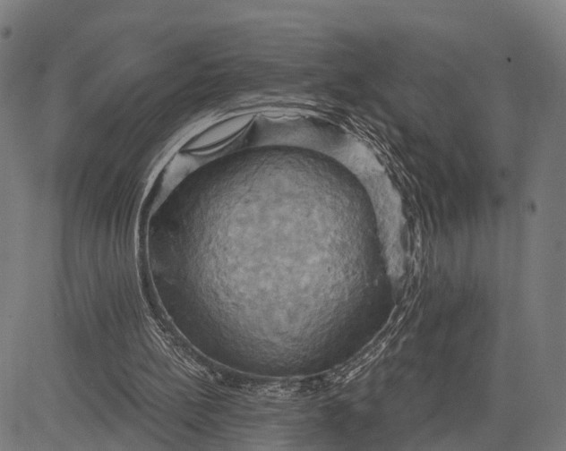 X0000084530148200703091637