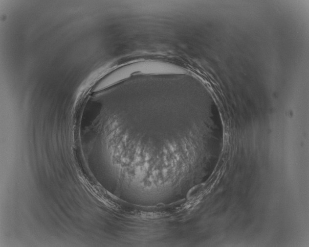 X0000084530149200703091637