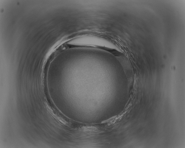 X0000084530150200703091637