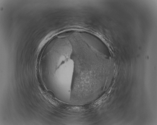 X0000084530151200703091637