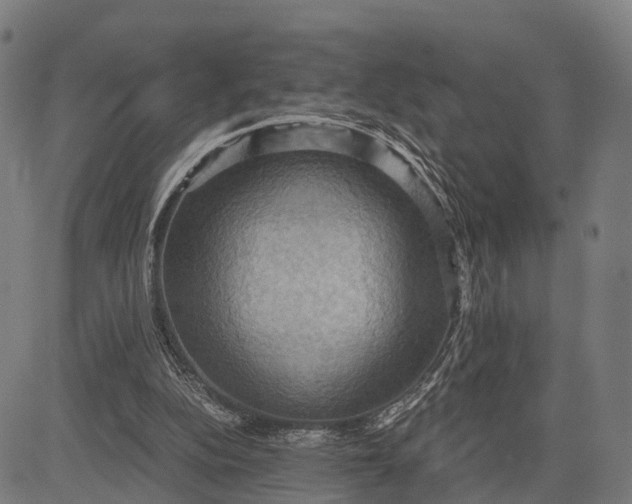 X0000084530152200703091637