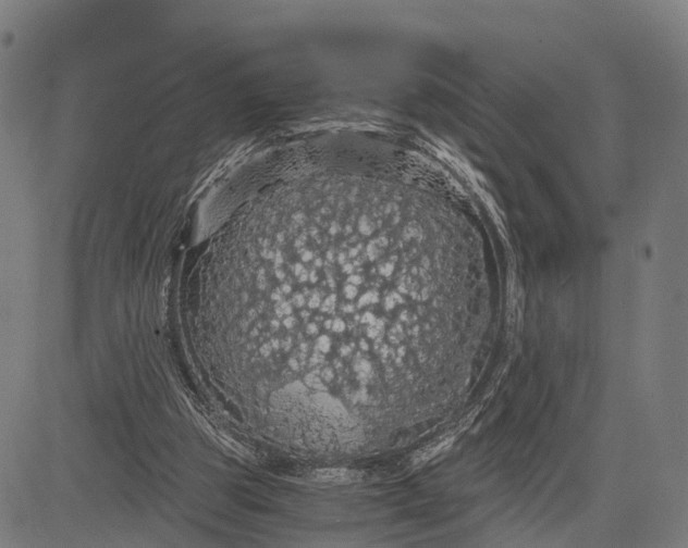 X0000084530153200703091637