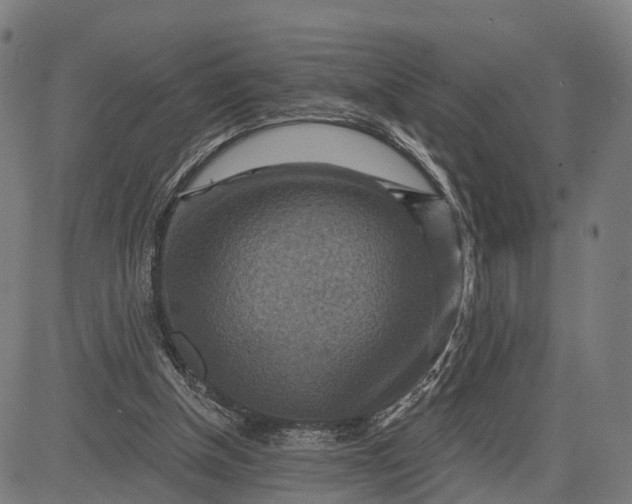 X0000084530154200703091637