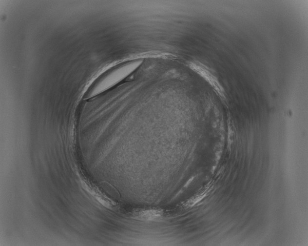 X0000084530156200703091637