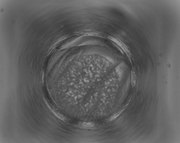 X0000084530157200703091637