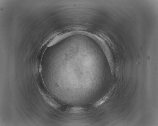 X0000084530158200703091637