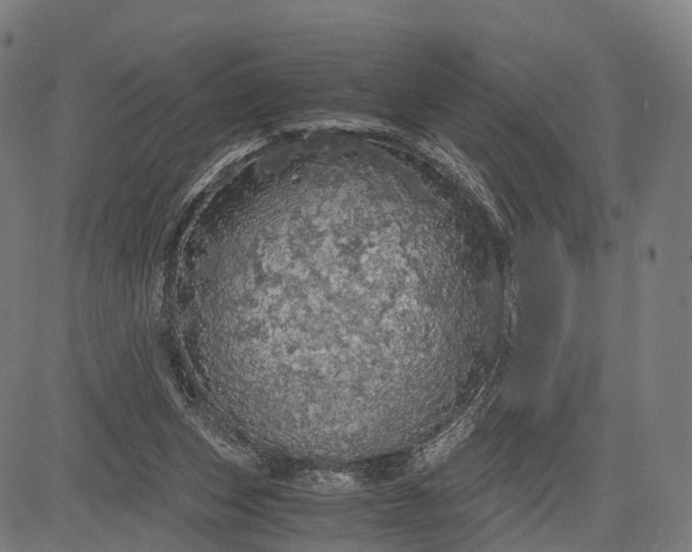 X0000084530159200703091637