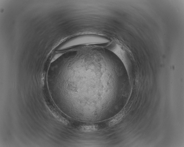 X0000084530160200703091637