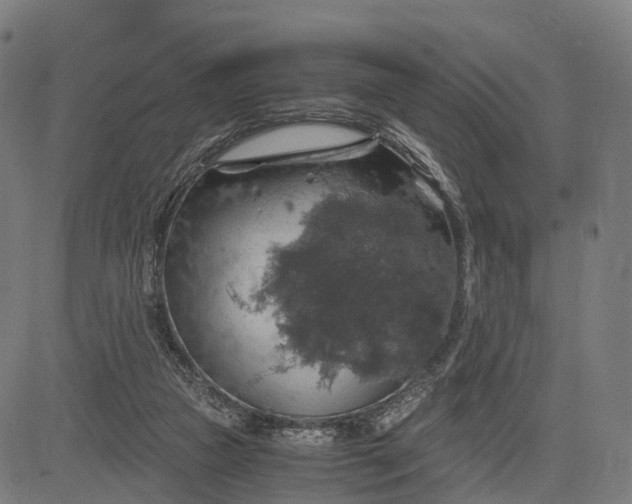 X0000084530161200703091637