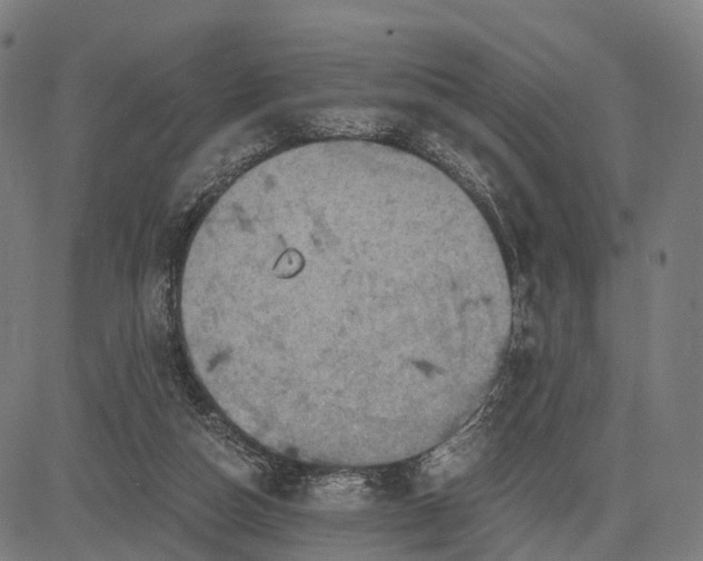 X0000084530162200703091637