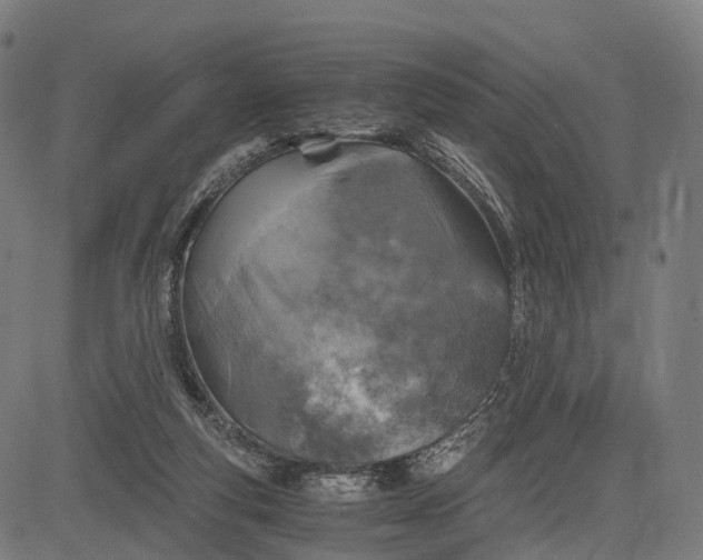 X0000084530163200703091637