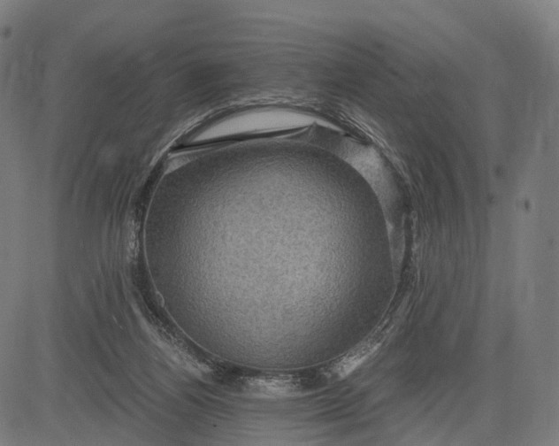 X0000084530164200703091637