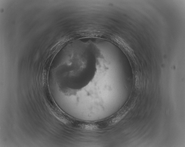 X0000084530165200703091637