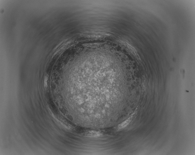 X0000084530166200703091637