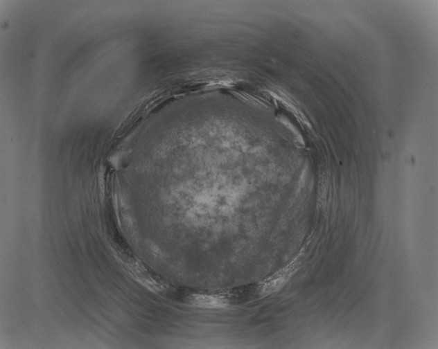 X0000084530167200703091637