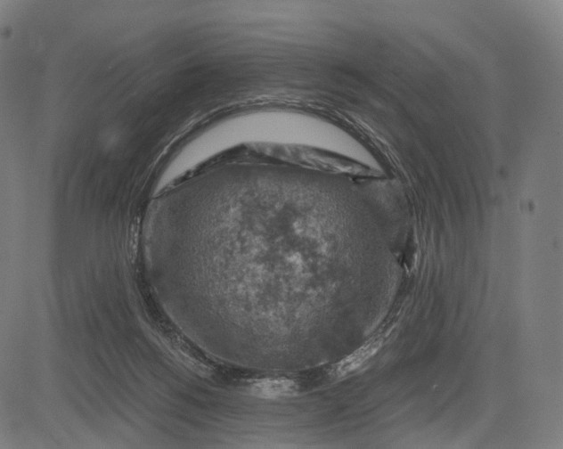 X0000084530168200703091637