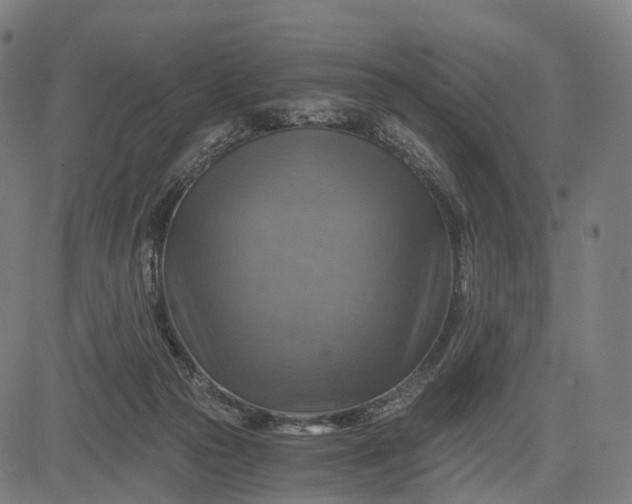 X0000084530169200703091637