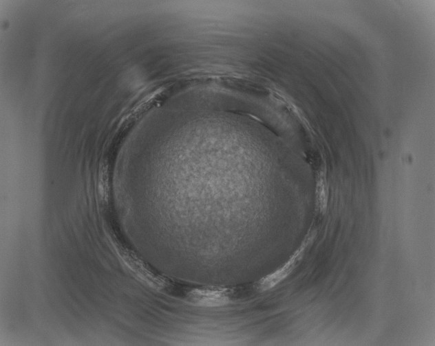 X0000084530170200703091637