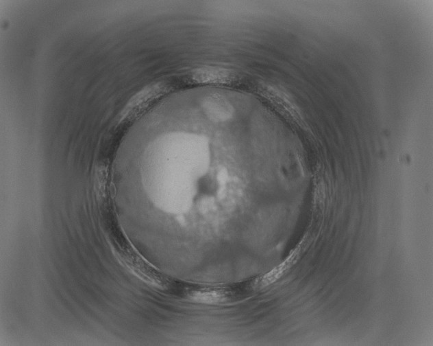 X0000084530171200703091637