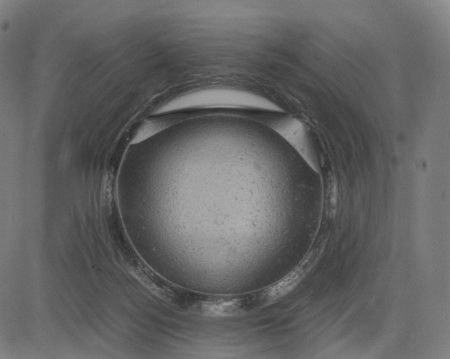 X0000084530172200703091637