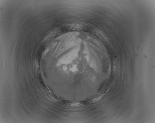 X0000084530173200703091637