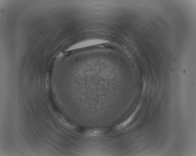 X0000084530174200703091637