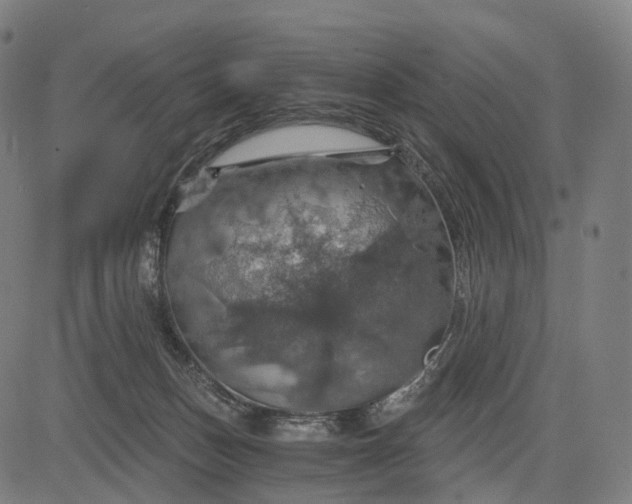 X0000084530175200703091637