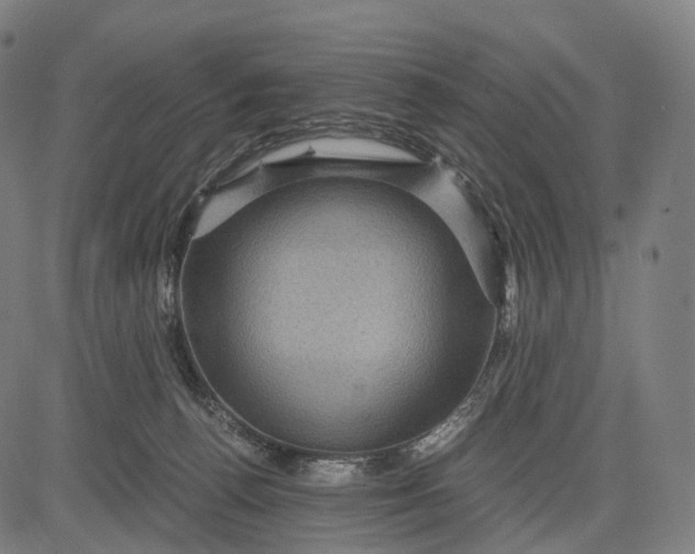 X0000084530176200703091637