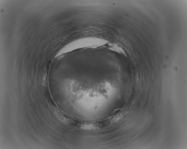 X0000084530177200703091637