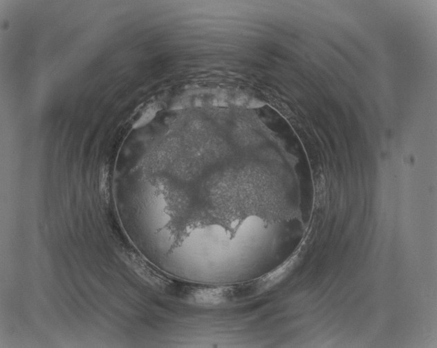 X0000084530178200703091637