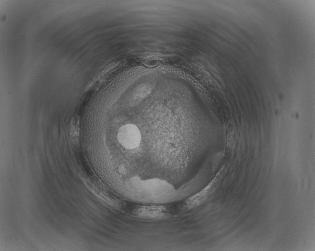 X0000084530179200703091637