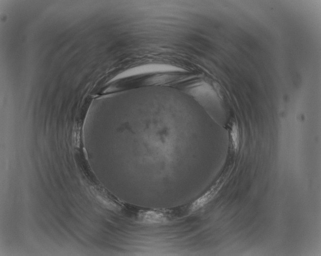 X0000084530180200703091637