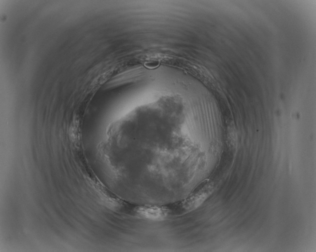 X0000084530181200703091637