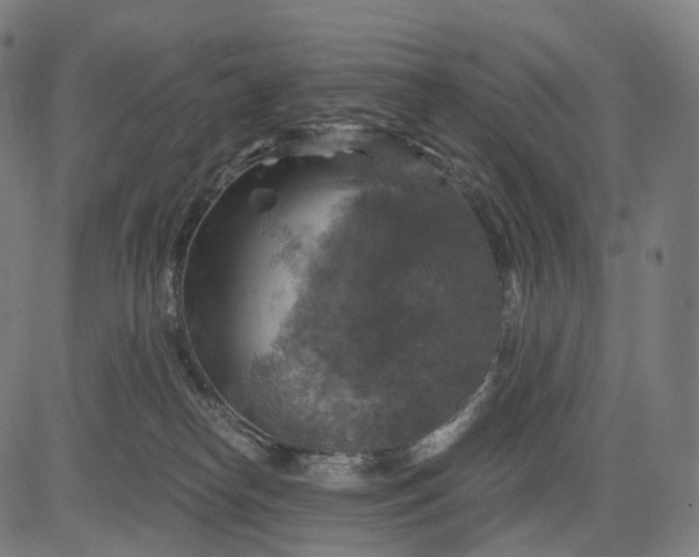 X0000084530182200703091637