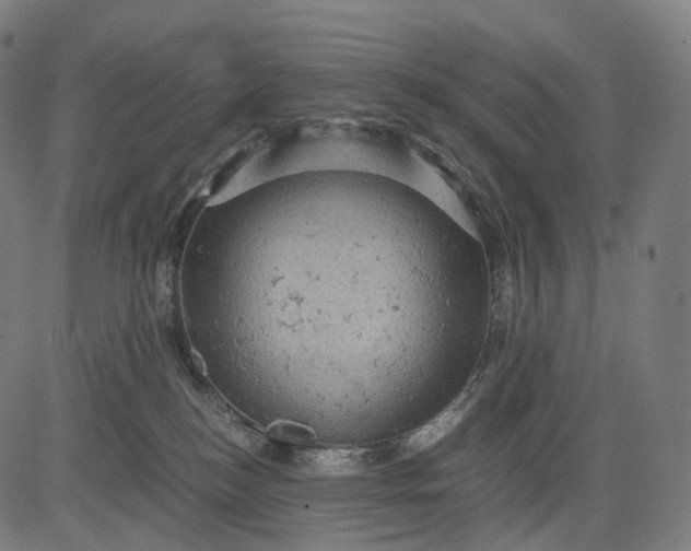 X0000084530184200703091637