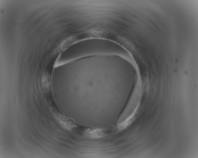 X0000084530186200703091637